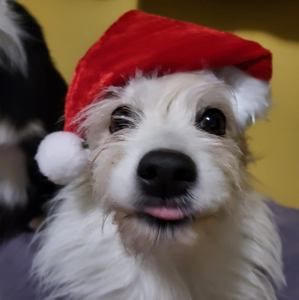 Meet your Posher, Sally